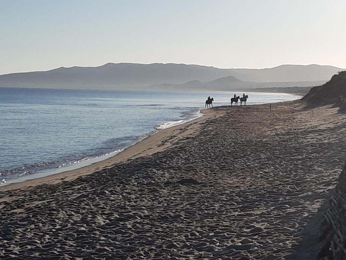 I Ginepri Villa Sorso Exteriör bild